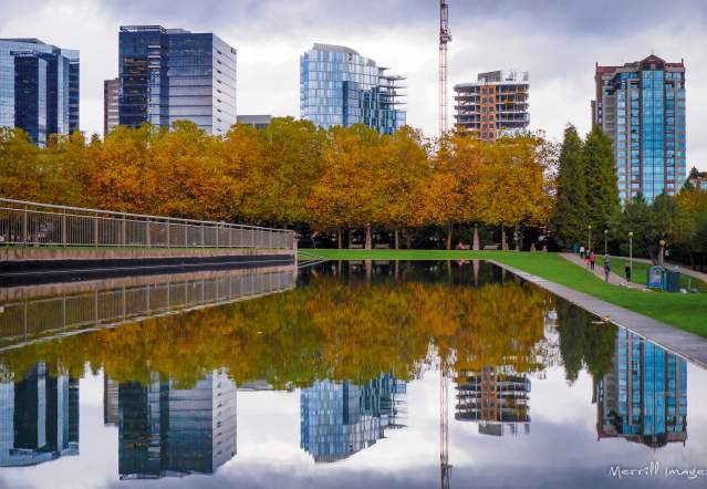 Bellevue Downtown Park Skyline and Pond