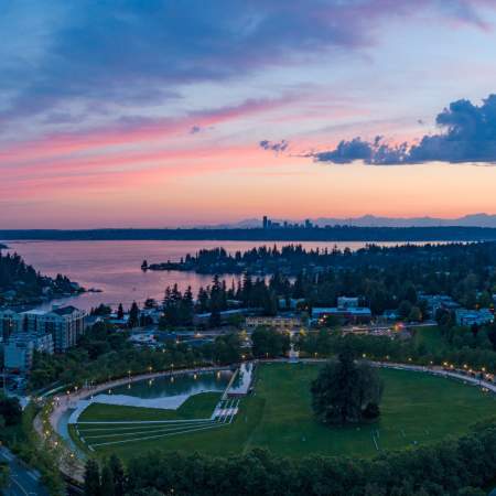 Bellevue Skyline