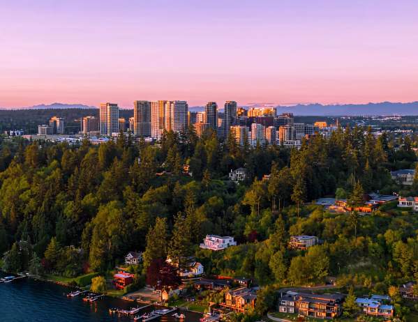 aerial of Bellevue