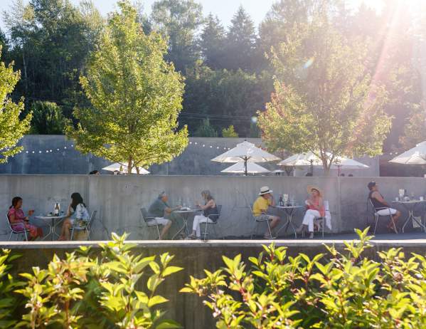 Lush green trees soften the concrete patio where people are enjoying wine under the shade of white umbrellas