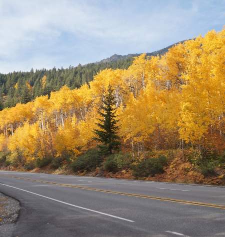 Stevens Pass Fall Colors