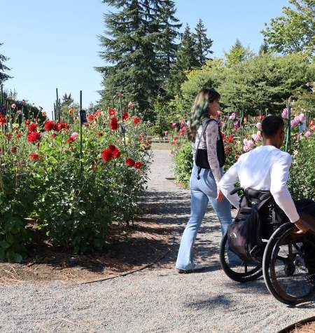 Wheelchair Accessible Bellevue Botanical Garden