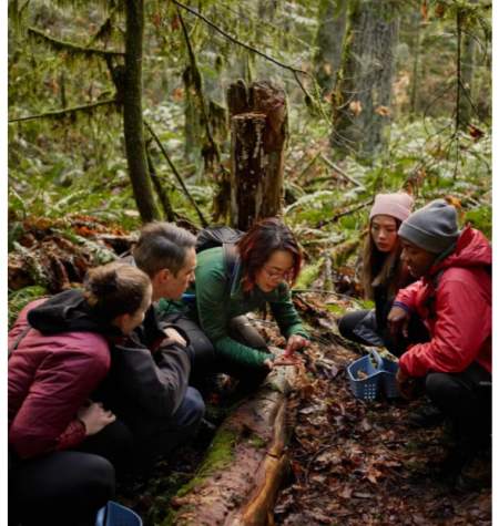 Introductory experienceto mushroom foraging