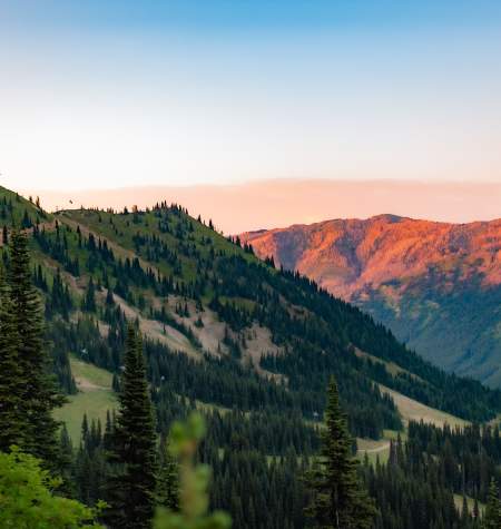 Summer on the Slopes