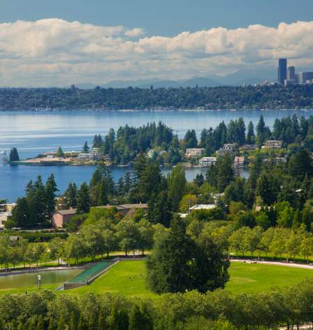 Bellevue + Seattle Skyline