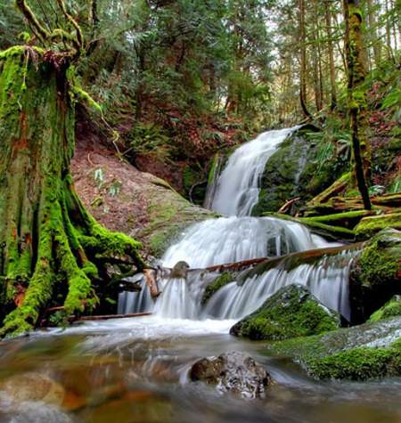 Coal Creek
