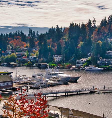 Fall in Bellevue