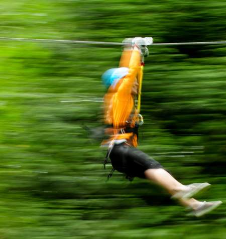 Zip Tour