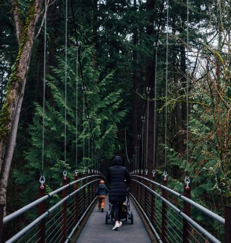 Bellevue Botanical Garden Winter