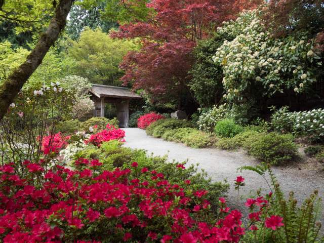 Where to see the Spring Flowers in Washington