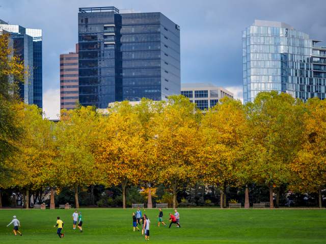 Bellevue Downtown Park Frisbee