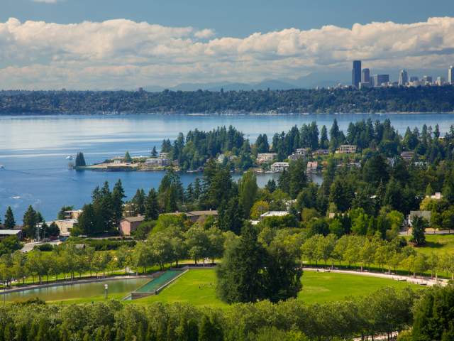 Bellevue + Seattle Skyline