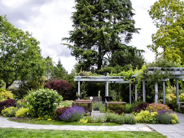 Bellevue Botanical Gardens