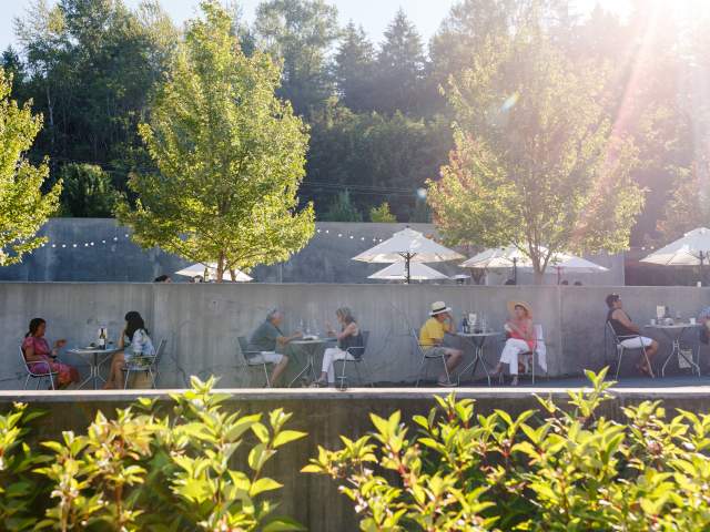 Lush green trees soften the concrete patio where people are enjoying wine under the shade of white umbrellas