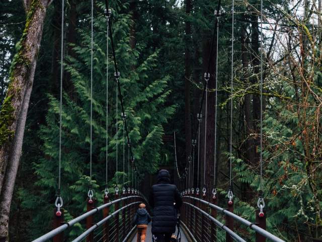 Bellevue Botanical Garden Winter