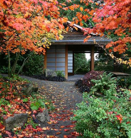 Fun things to do in Bellevue