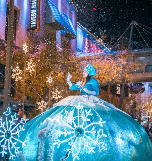 Snowflake Lane in Bellevue