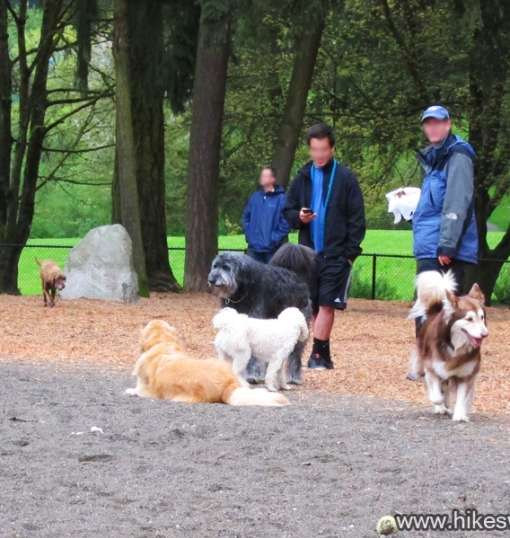 Robinswood Dog Park