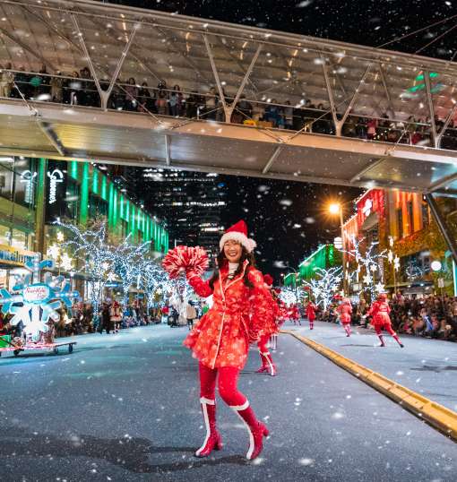 Snowflake Lane Chance Merchant