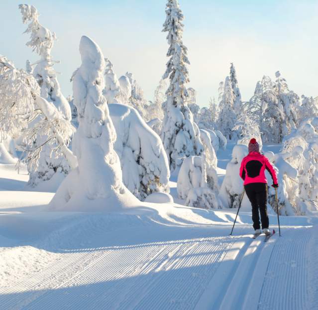 Cross-country skiing