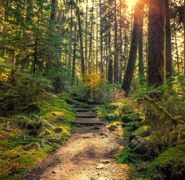 Washington National Parks Travel Itinerary