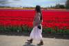 Skagit Valley Day Trip from Bellevue, WA | The Vue