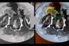 The Vue: Duke's Seafood