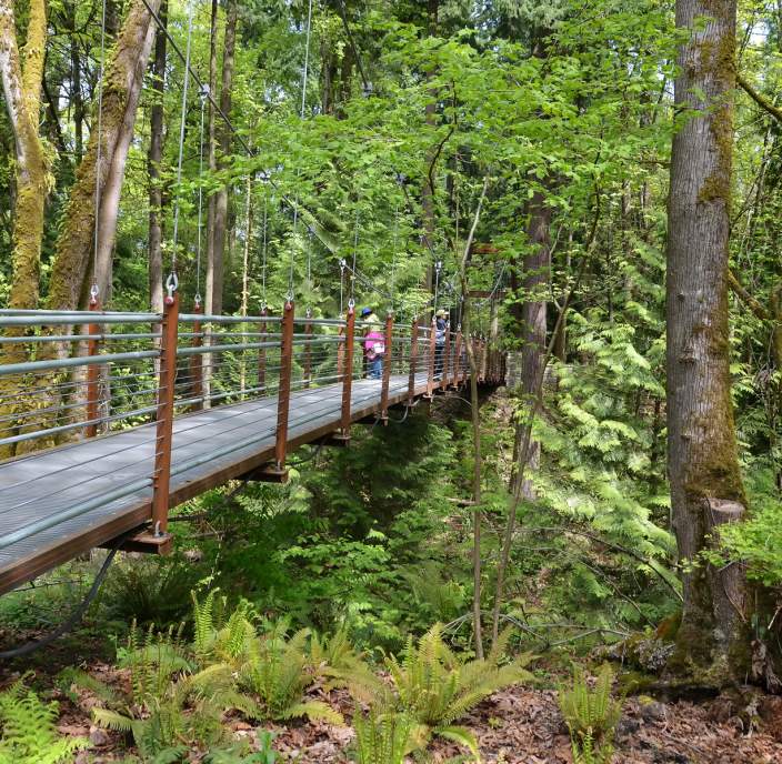 BBG-Ravine-Bridge