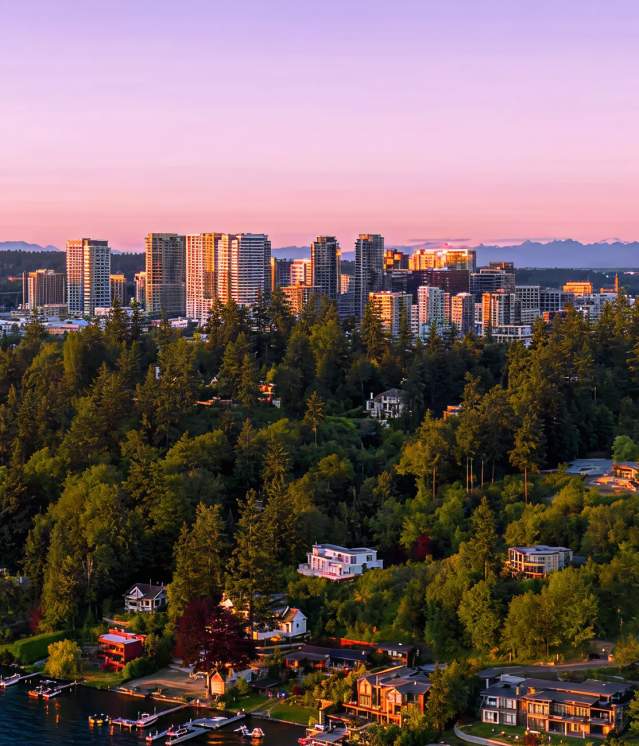 aerial of Bellevue