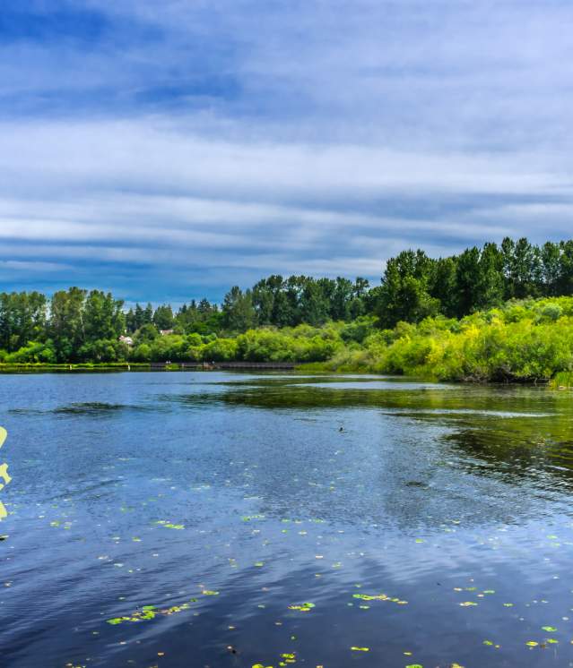 Kirkland Day Trip from Bellevue | Lake Views, Cafés & Dining