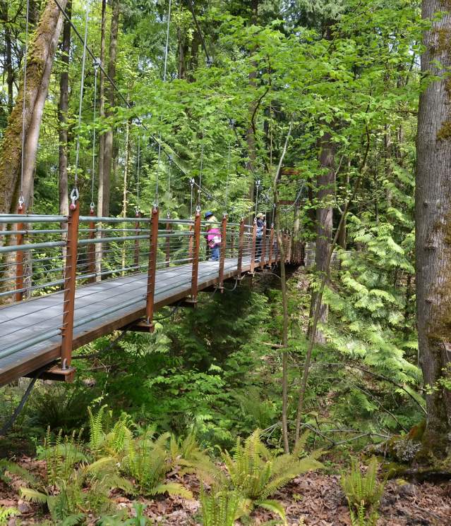 BBG-Ravine-Bridge