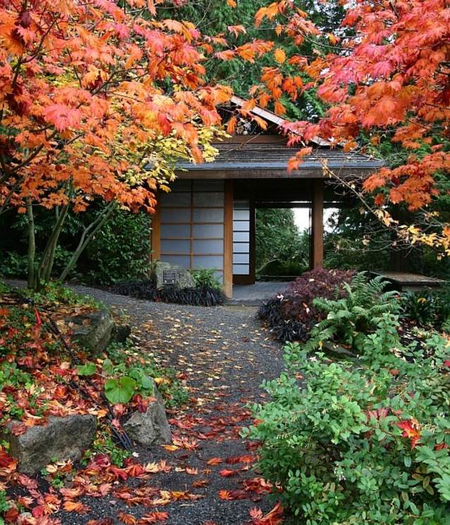 Bellevue Botanical Garden Tateuchi in Autumn