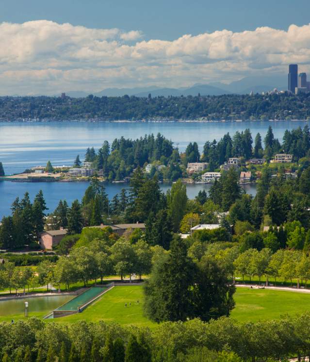 Bellevue + Seattle Skyline