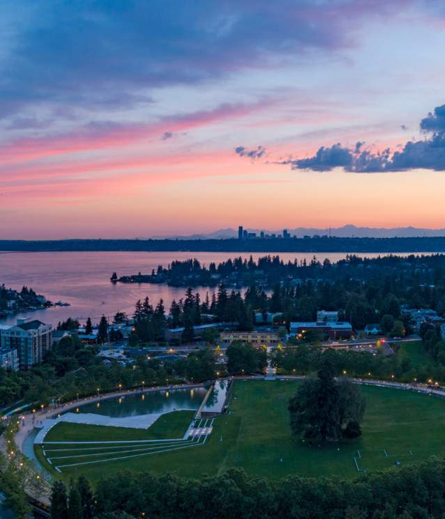 Bellevue Sky