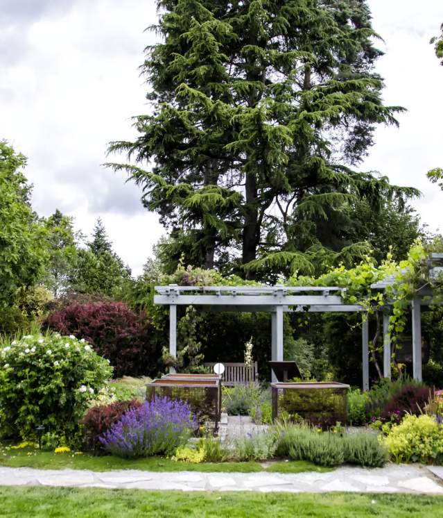 Bellevue Botanical Gardens