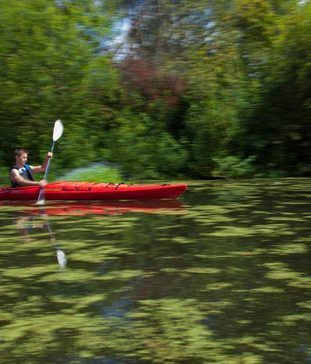 Kayaking on Mercer Slough