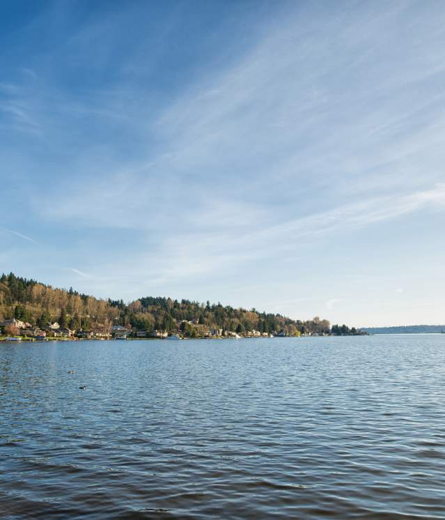 Bellevue waters