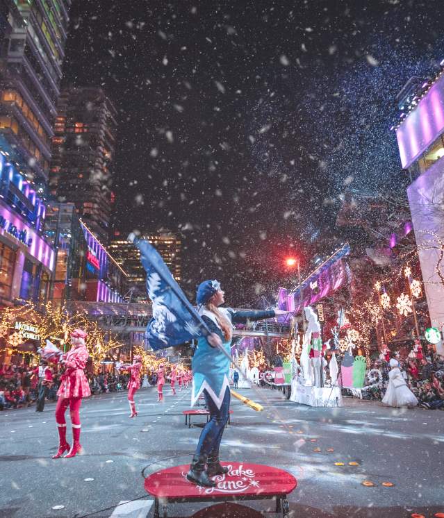 Snowflake Lane