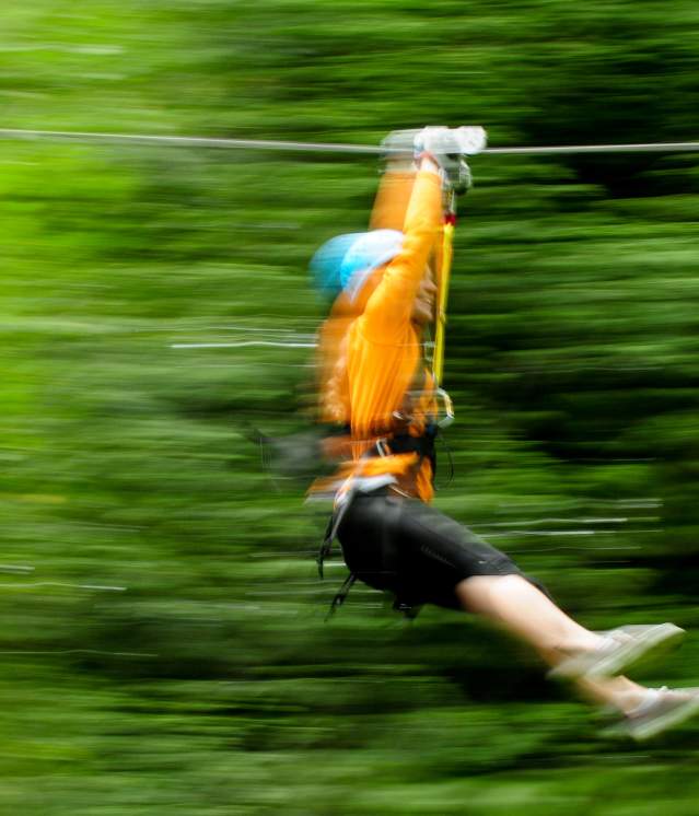 Zip Tour