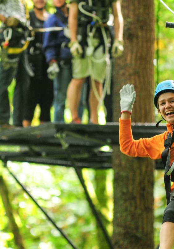 Into the Trees: Inside Bellevue Adventures