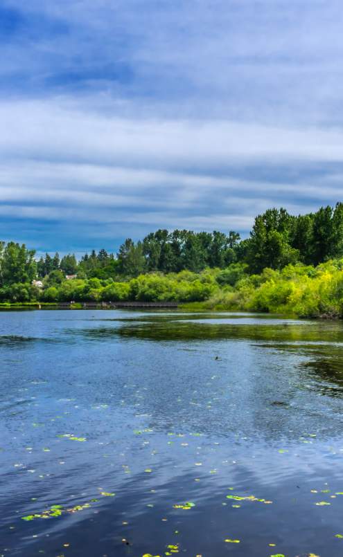 Kirkland Day Trip from Bellevue | Lake Views, Cafés & Dining
