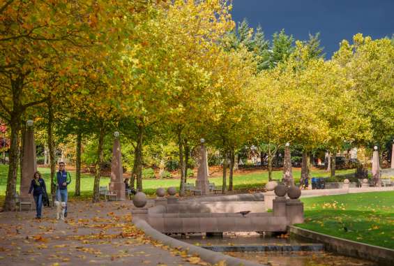 Walking around Downtown Park