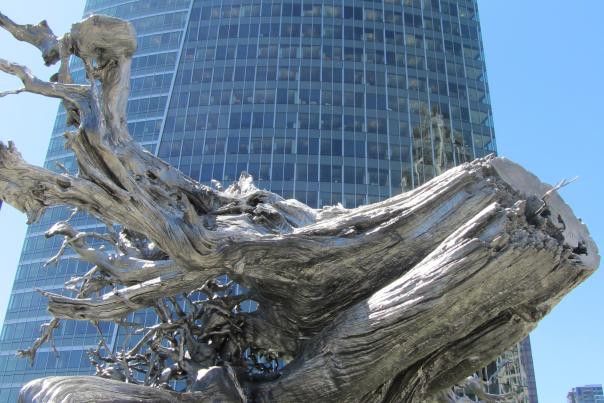 Art-Root-and-Microsoft-Building