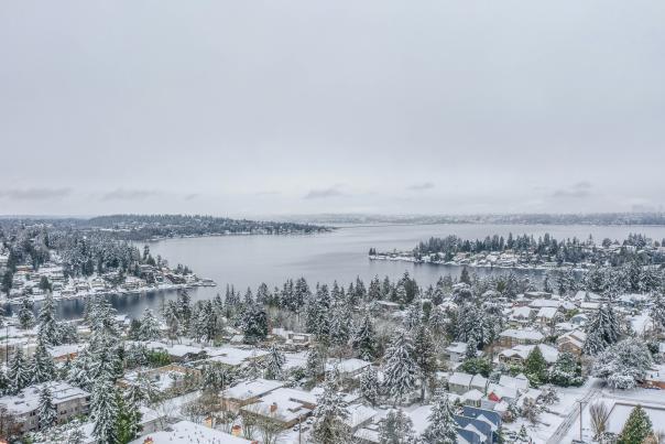 Bellevue 2021 Winter