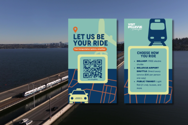 Bellevue Transportation Cards
