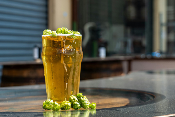 Fresh hops