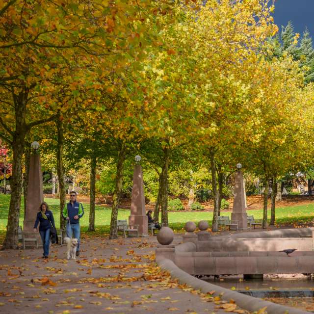 Walking around Downtown Park