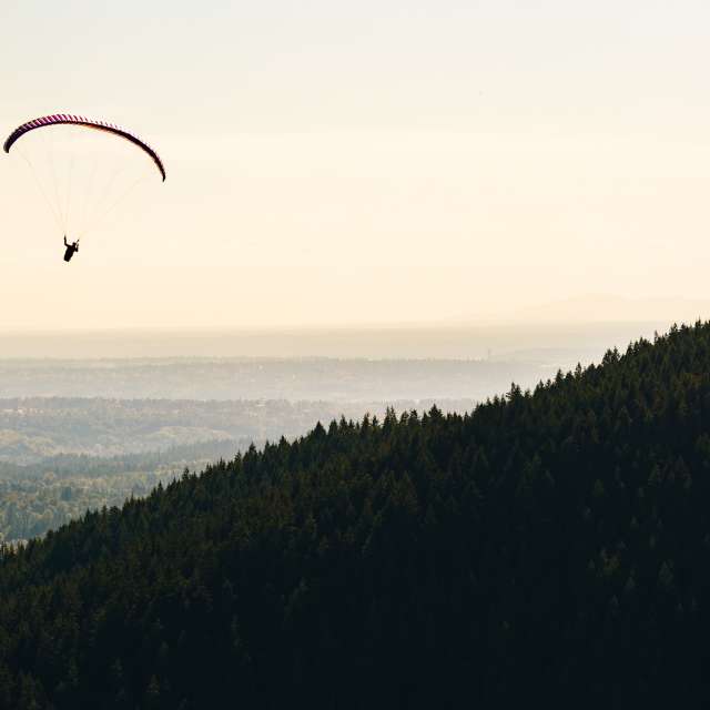 Paraglider