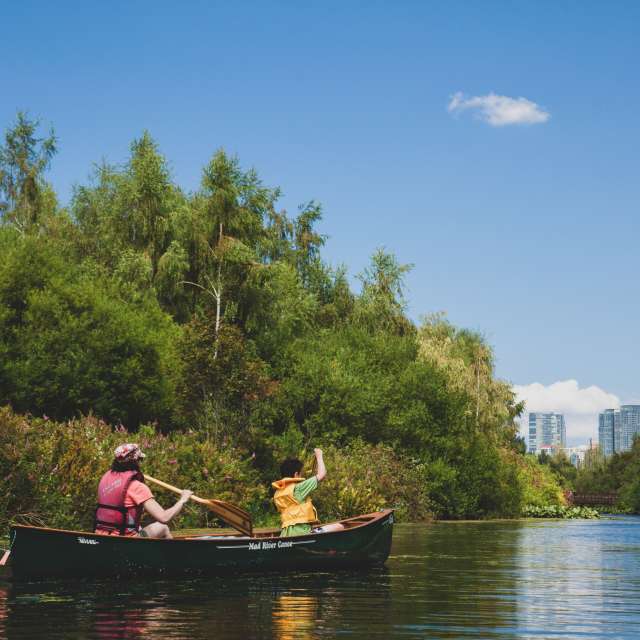 Canoe on Mercer Slough
