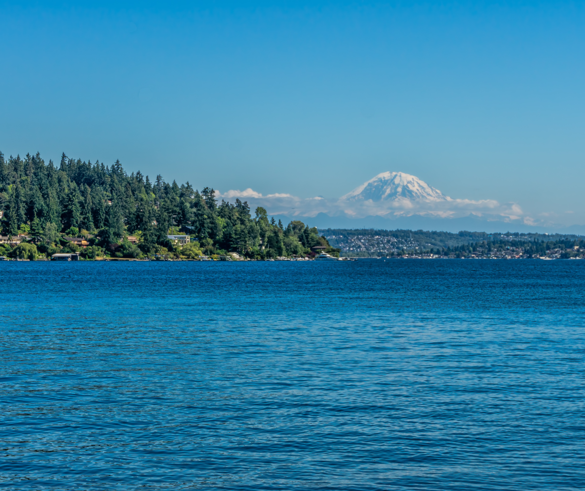 Things to do in bellevue